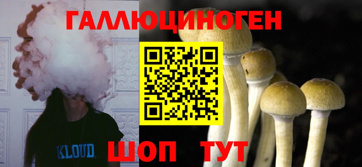 Псилоцибиновые грибы Cubensis  Вход с VPN  Усть-Илимск 